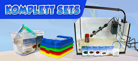 Triops King - Buy Triops Eggs, Tadpole Shrimps & Sea Monkeys