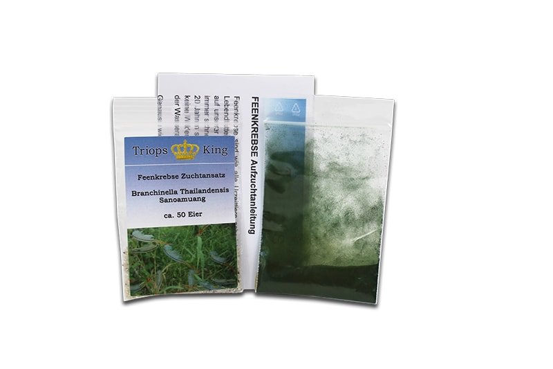 Triops King - Buy Triops Eggs, Tadpole Shrimps & Sea Monkeys