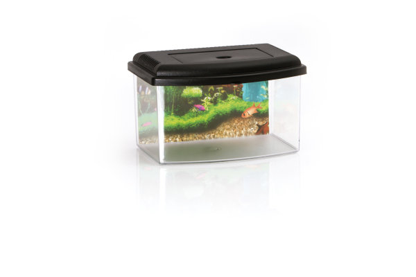 Small acrylic aquarium / Triops breeding tank 22 x 16 x 14 cm anthracite