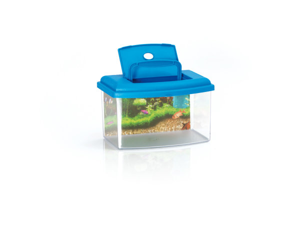Small acrylic aquarium / Triops breeding tank 22 x 16 x 14 cm blue