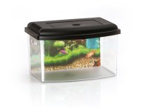 Small acrylic aquarium - Triops breeding tank 22 x 16 x 14 cm