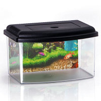 Small acrylic aquarium - Triops breeding tank 22 x 16 x 14 cm