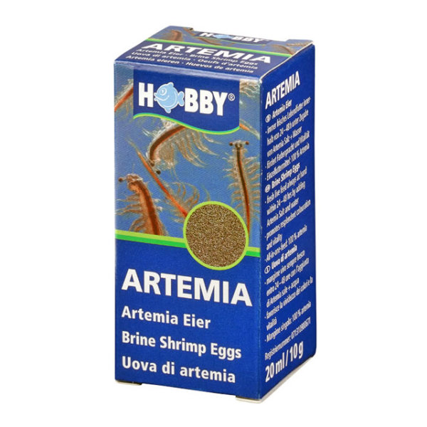 Hobby Artemia eggs