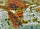Triops Longicaudatus Multicolour Starter Set