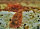 Triops Longicaudatus Multicolour Starter Set
