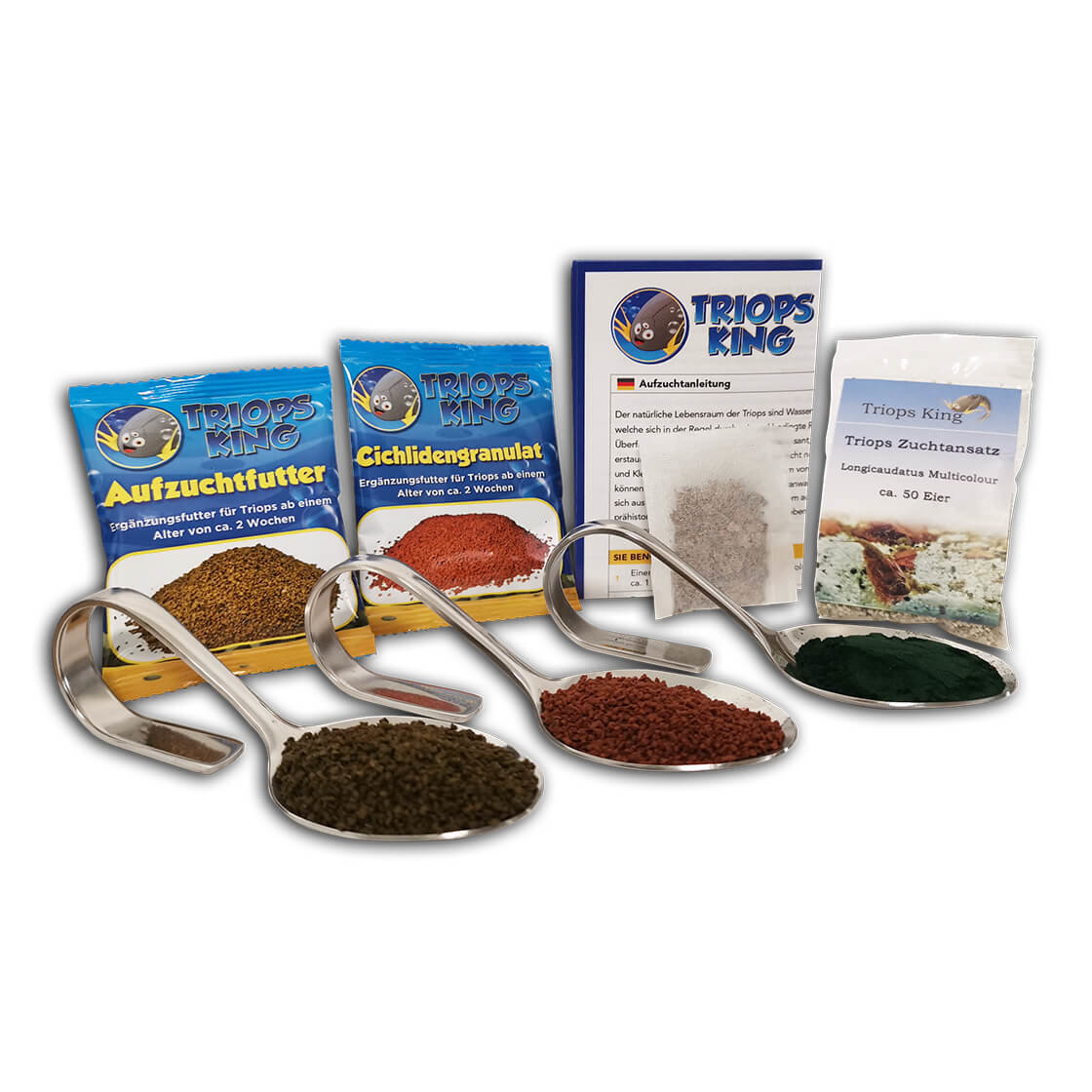 Triops Granarius Eggs - 50 Pure Eggs For Breeding, Prehistoric Crayfish / Feed Sample